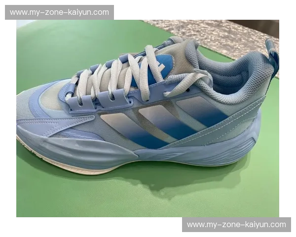 打破极限，运动与科技的完美结合——篮球球鞋测评