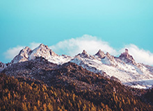 开云app在线下载-那不勒斯弃赛门反转：德佬狂喜庆祝 尤文态度获赞